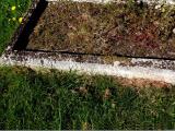 image of grave number 143276